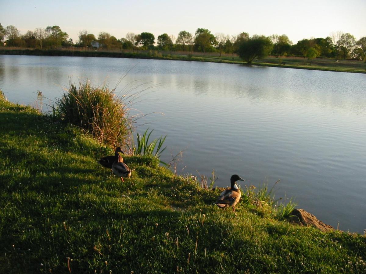 Camping Du Lac De Saujon Eksteriør billede